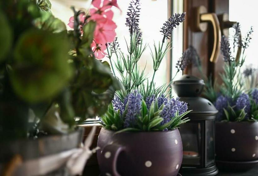 בית מלון כפרי Vaskó Panzió Borpince