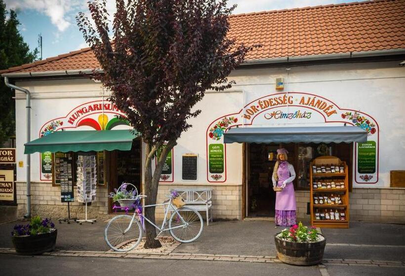 בית מלון כפרי Vaskó Panzió Borpince