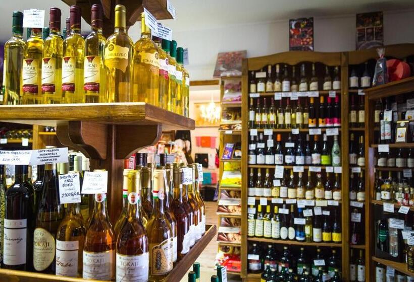 בית מלון כפרי Vaskó Panzió Borpince