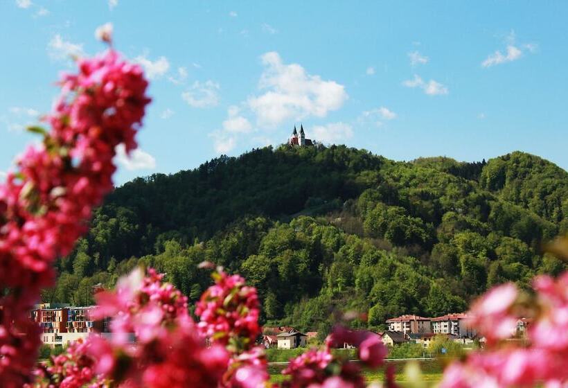 هتل Villa Aina Boutique