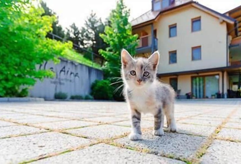 هتل Villa Aina Boutique