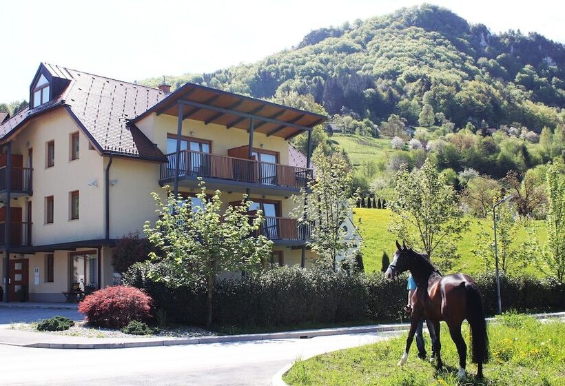 هتل Villa Aina Boutique