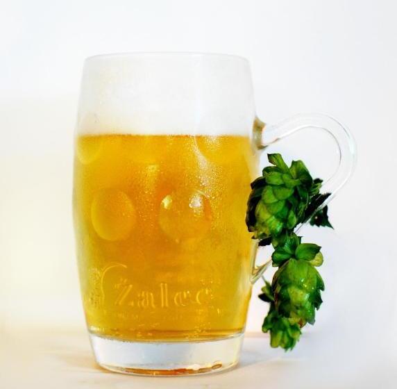 هتل Villa Aina Boutique