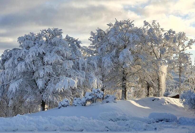 בית מלון כפרי Westland