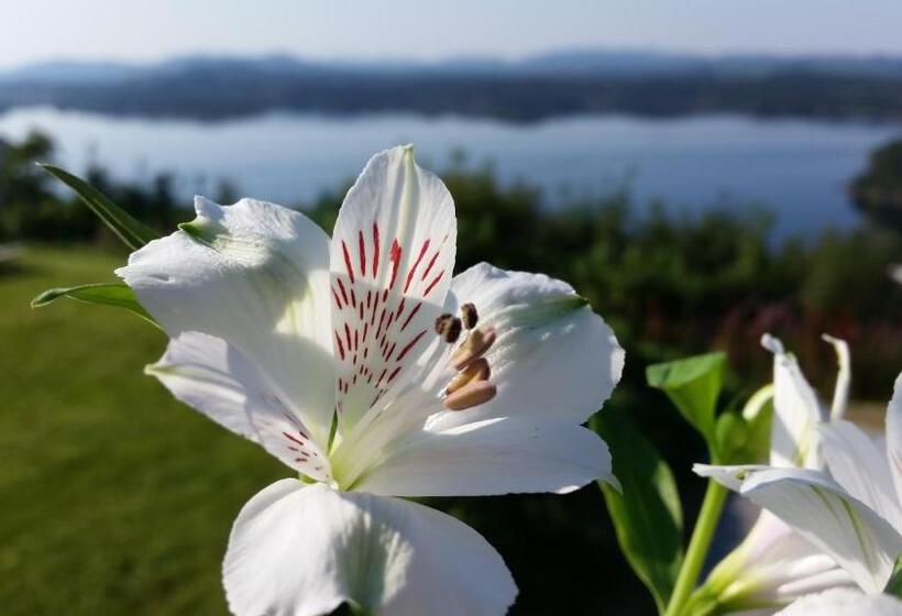 בית מלון כפרי Westland