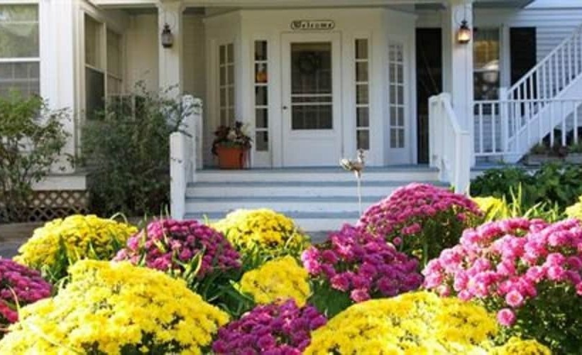 ホテル Youngtown Inn & Restaurant