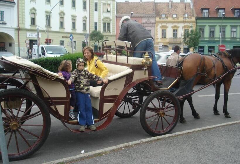 호텔 Zsófia Panzió Pápa