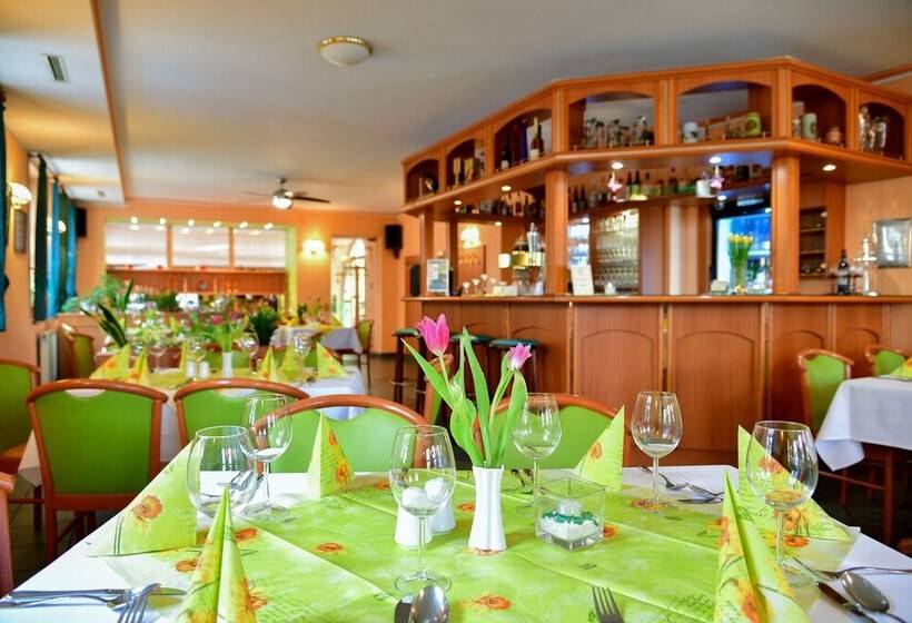 호텔 Zum Goldenen Löwen