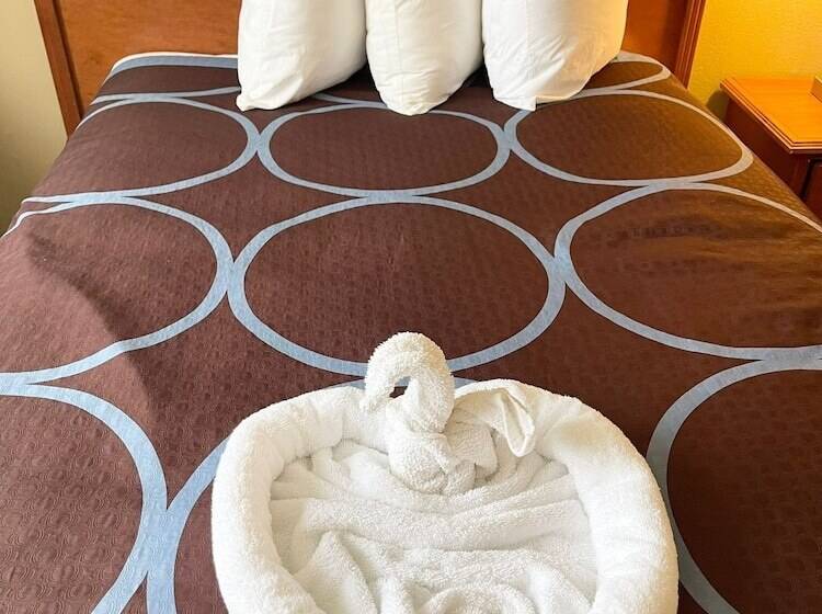 فندق على الطريق Super 8 By Wyndham Williston Nd