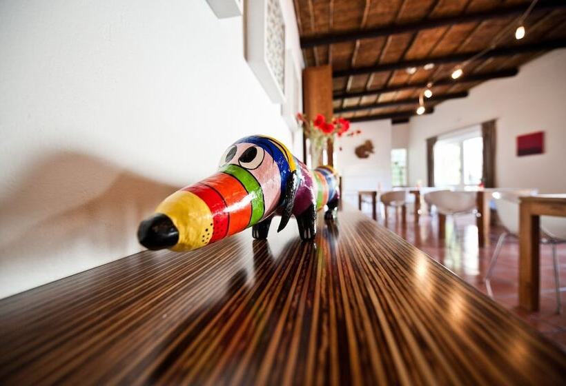 بنسيون Ballinderry The Robertson Guest House