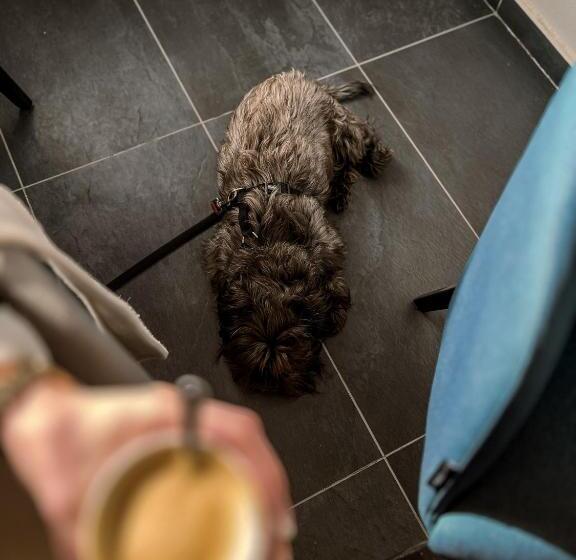 پانسیون Guest House Mlada Lipa