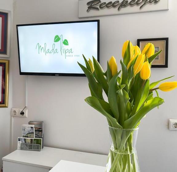 پانسیون Guest House Mlada Lipa