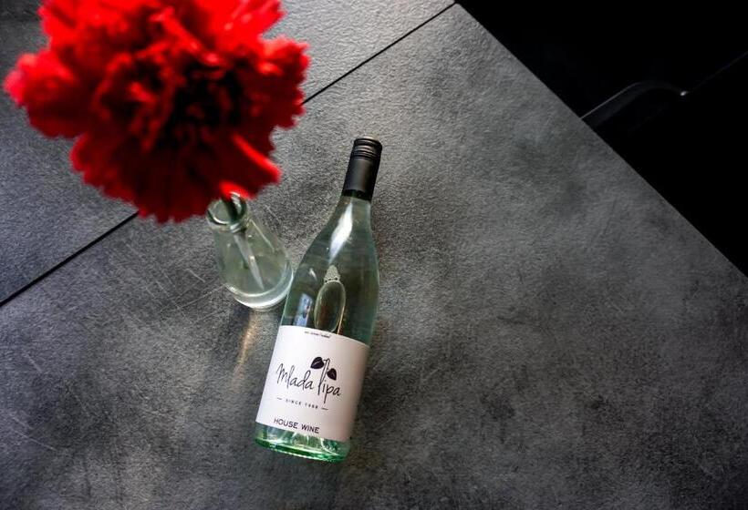 پانسیون Guest House Mlada Lipa