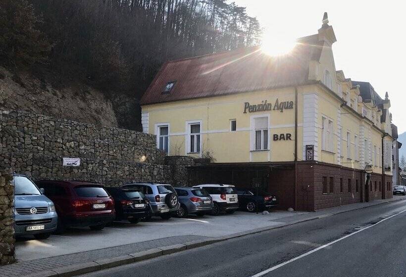 Пансион Penzion Aqua