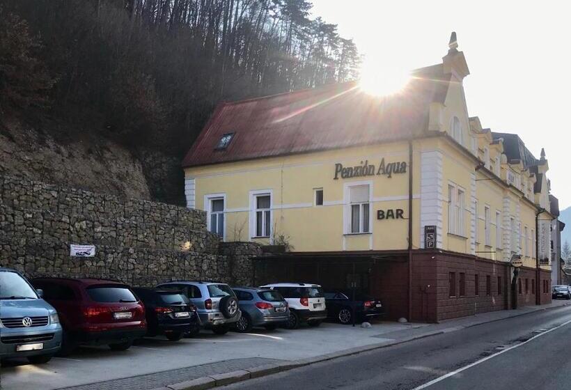 Пансион Penzion Aqua