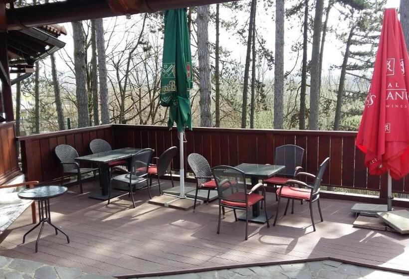 Пансион Penzion Martinov Dvor