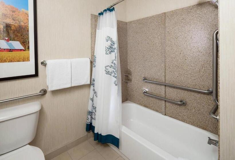 Residence Inn South Bend Mishawaka