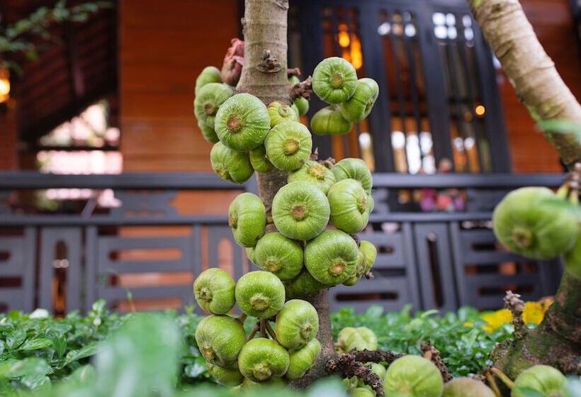 استراحتگاه Betel Garden Villa