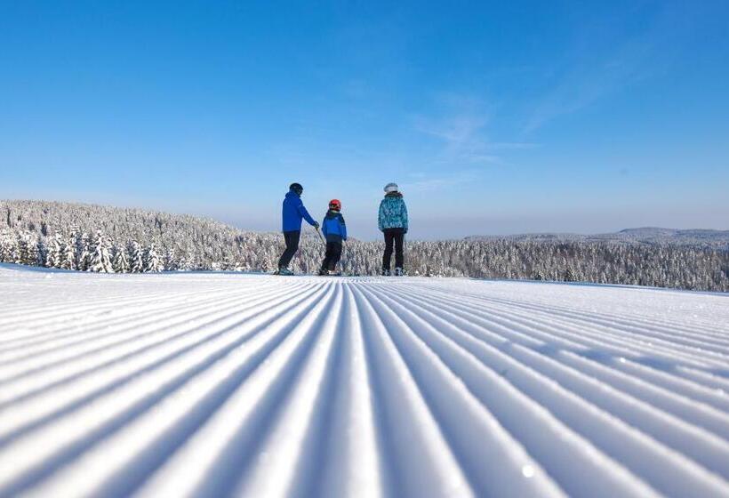 Terme Zrece   Hotel Vital