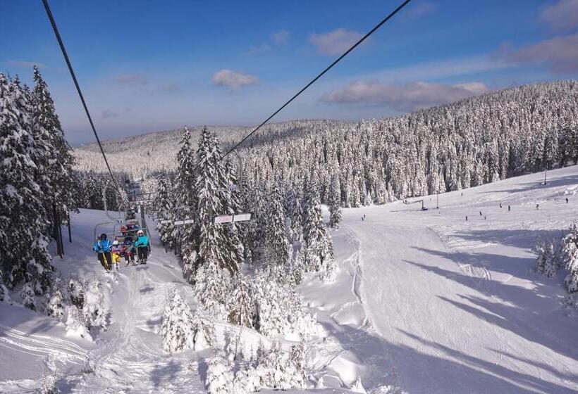 Terme Zrece   Hotel Vital