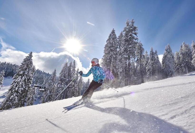 Terme Zrece   Hotel Vital