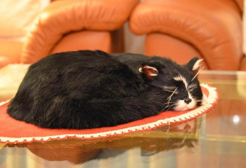 The Sandringham Bed & Breakfast And Self Catering