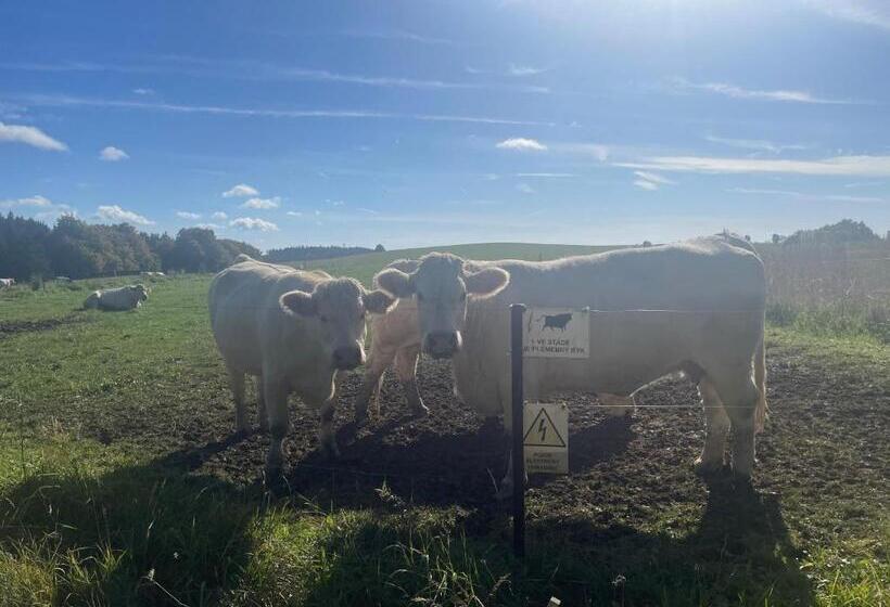 Apartmán Studnice Na Vysočině