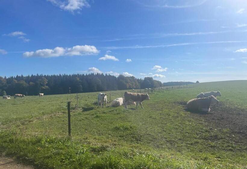 Apartmán Studnice Na Vysočině