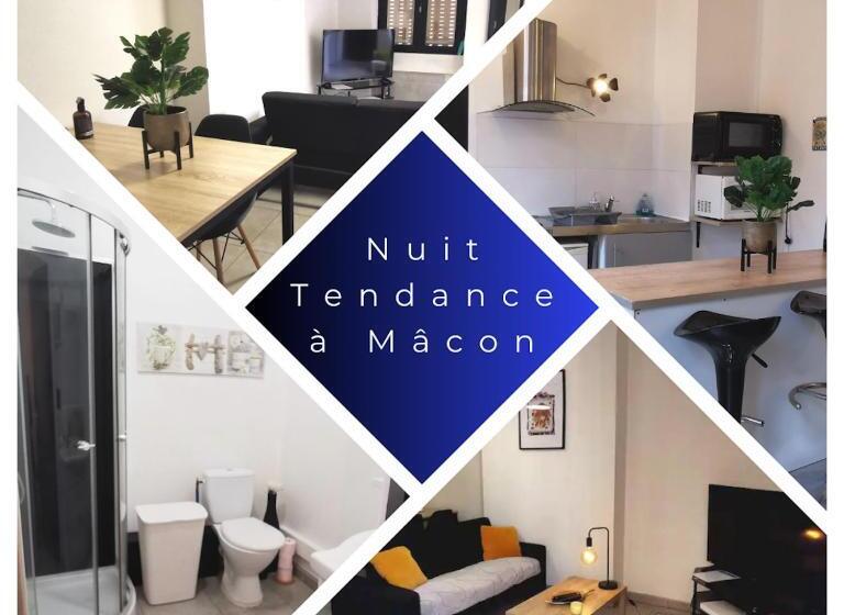 Appartement En Plein Coeur De Mâcon H