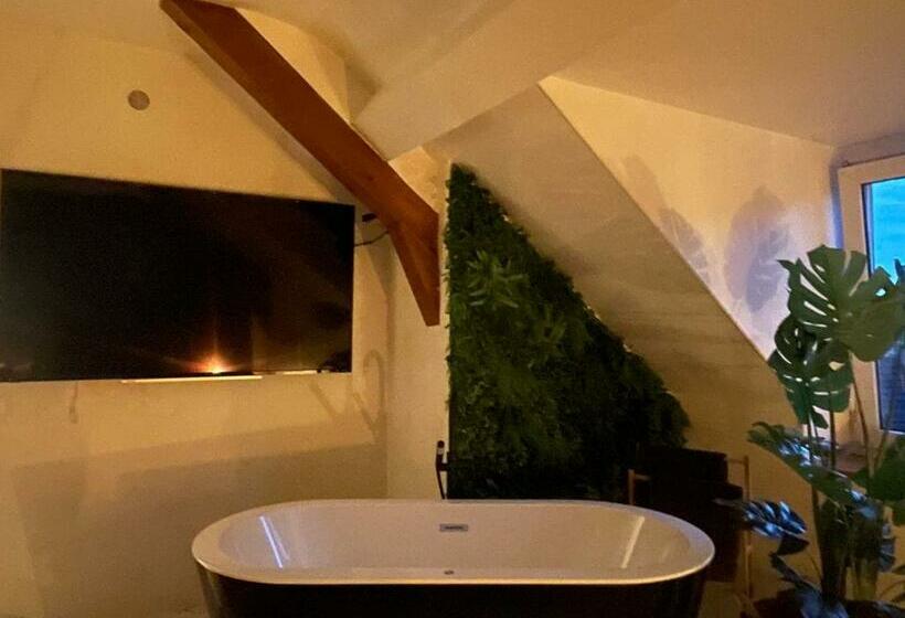 El Circo Gambetta,sublime Suite Balnéo Hypercentre