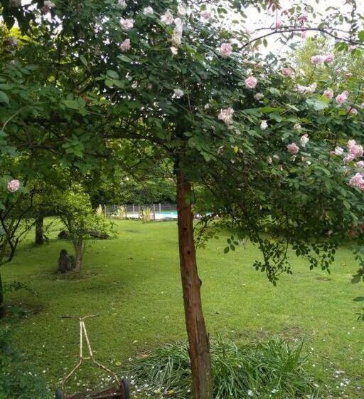 Quinta   Casa De Campo