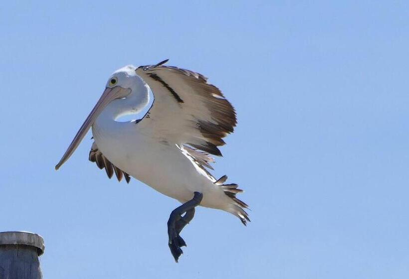 St. Leonards Pier Beach House