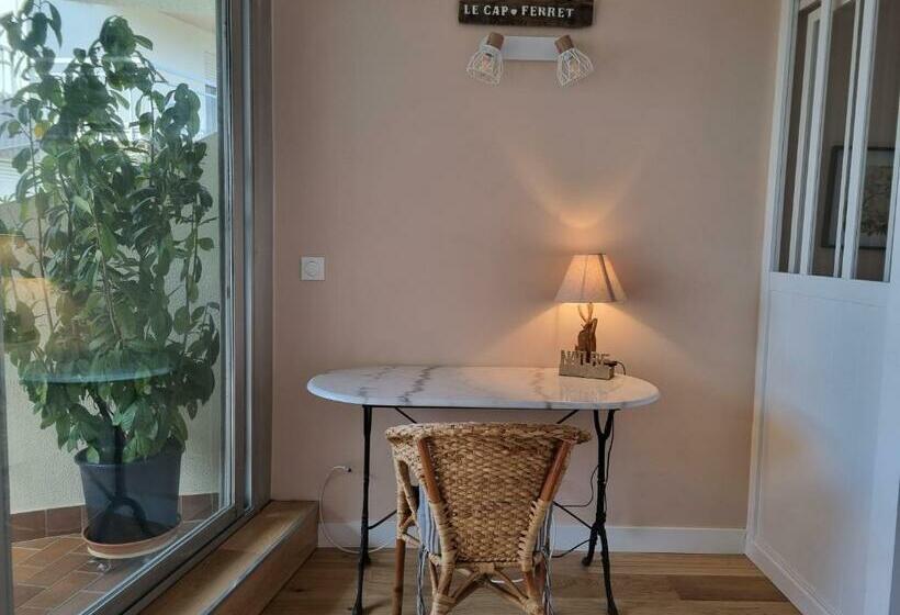 Superbe Vue Mer T2bis Arcachon