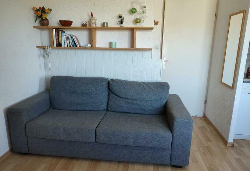 Boost Your Immo Les Deux Alpes Montana 2 762