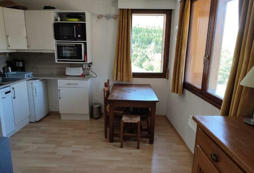 Boost Your Immo Les Deux Alpes Montana 2 762