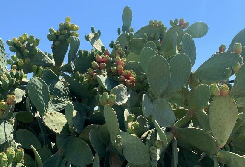 Casa Con Finestra Che Vede Il Mare