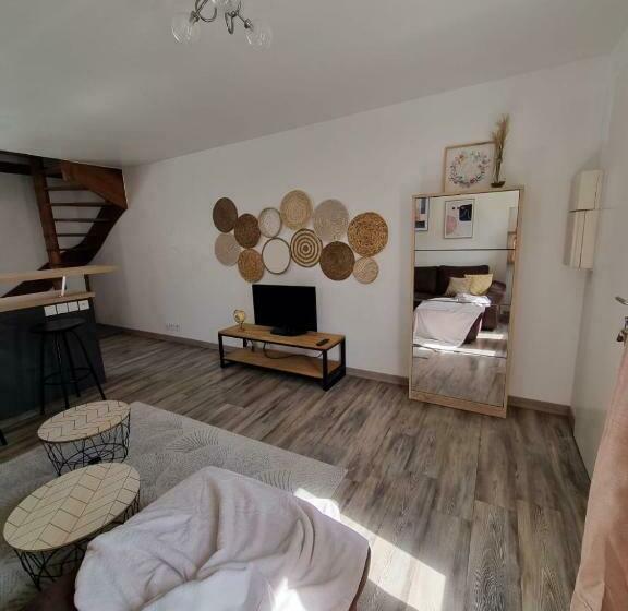 Duplex 40m2 Cocooning Cœur De Ville Avec Parking