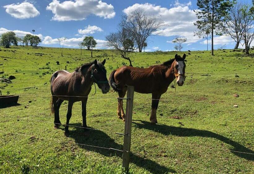 Ecolodge Piedra Y Agua