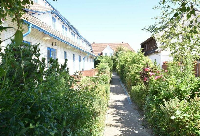 Ferienwohnung Seeschwalbe Im Birkenhof Am Meer Ofc 09