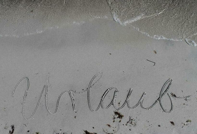 Ferienwohnung Seeschwalbe Im Birkenhof Am Meer Ofc 09