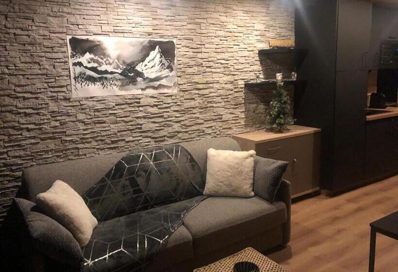 Les Deux Alpes : Superbe Appartement Tout équipé
