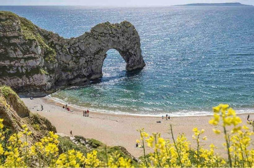 Nightjar Cabin At Cloudshill Glade