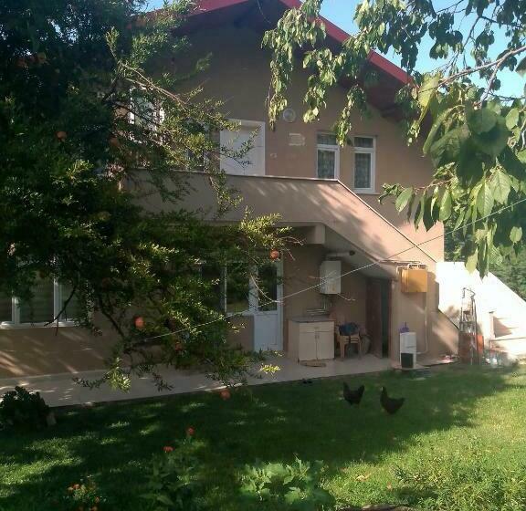 Rooftop Apartment With A Big Garden