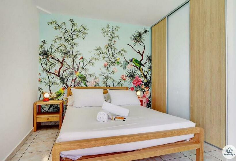 T2 Classé 3 étoiles   Le Léopardi   à 2 Pas Du Lagon De La Saline Les Bains