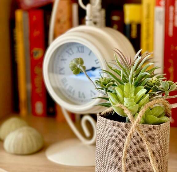 Vialunga Apartment In The Old Town