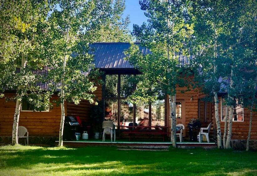 Alpine Forest Lodge