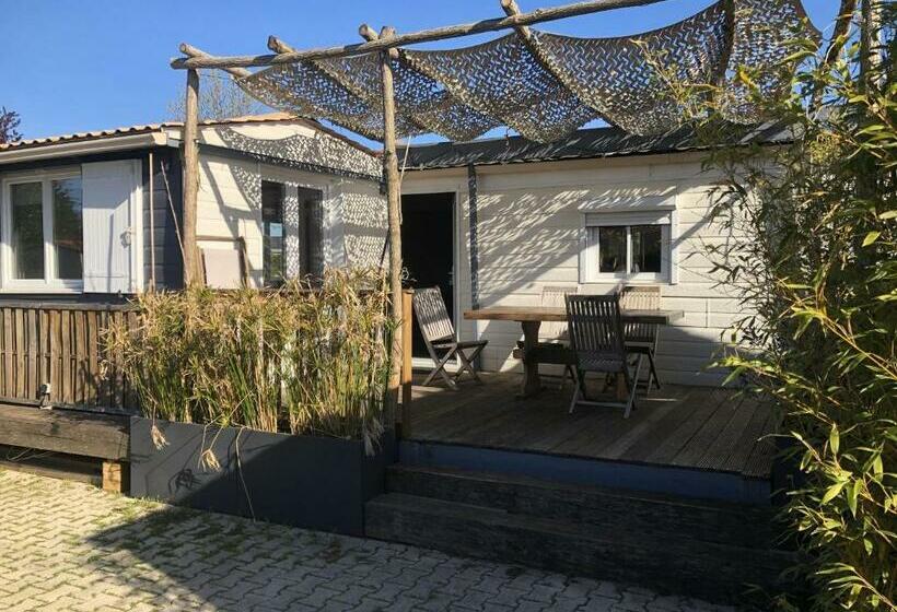 Chalet 47m2 Dans Prl Linge Fourni