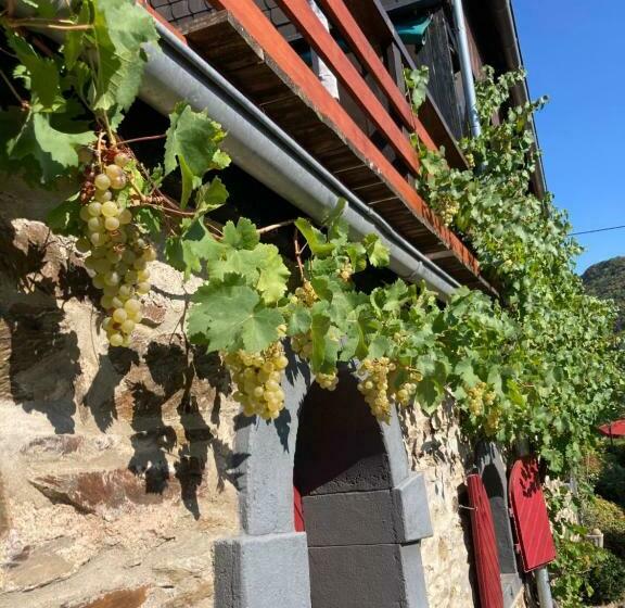Ferienhaus Goldstück Wohnen Im Weinberg