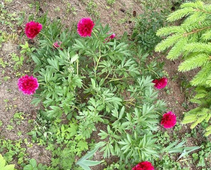 Freiblick 3 Bad Glbg Mit Terrasse Top 3