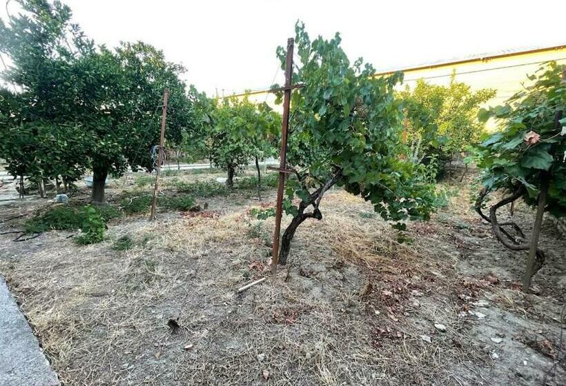 Lovely Spacious House With Big Garden